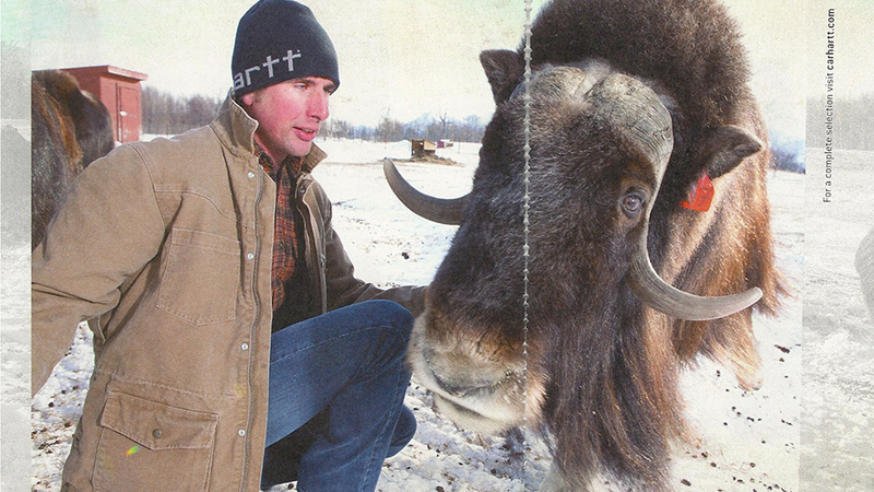 Illustration for article titled Get to Know Your Carhartt Boyfriend